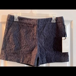 Lila Rose Lace Shorts Size 6